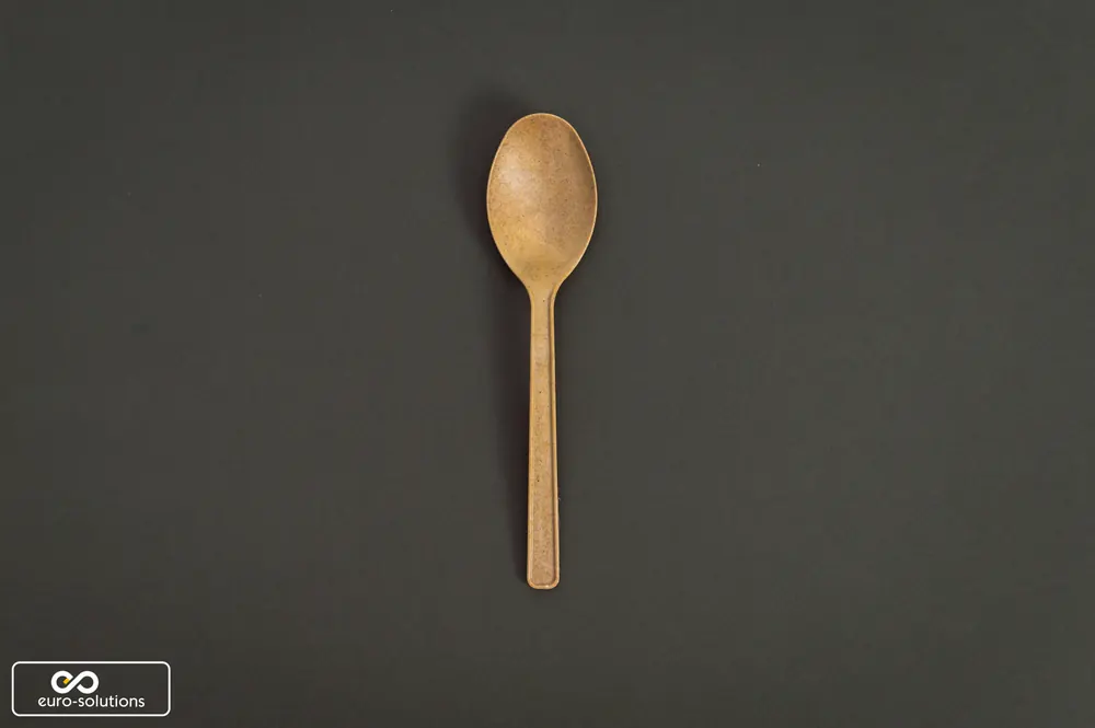Spoon